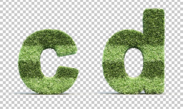 3D-Rendering von Grasspielfeldalphabet c und Alphabet d