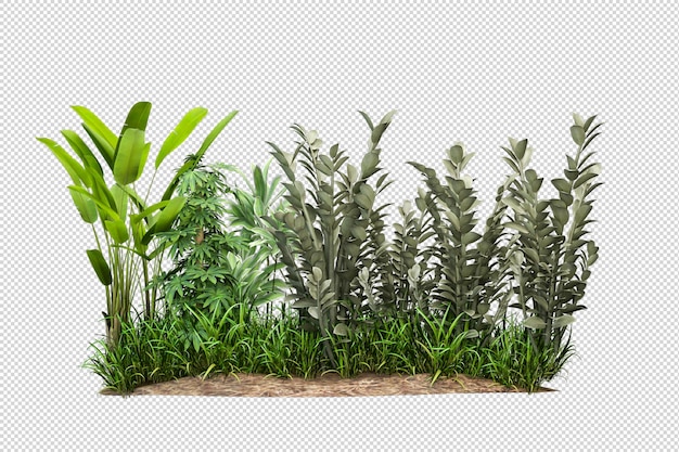 3D-Rendering von Naturlandschafts-Rendering