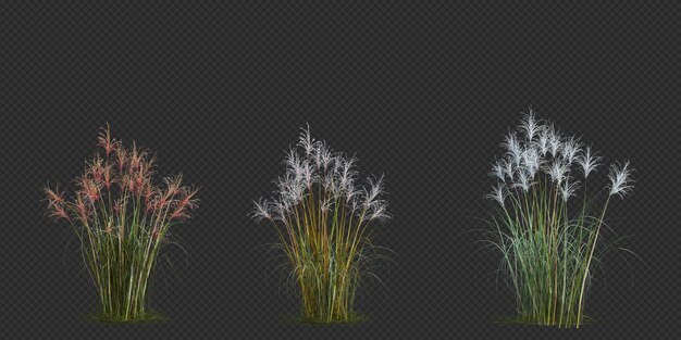 3d-Rendering von Pinselbaum, isoliert auf Weiß