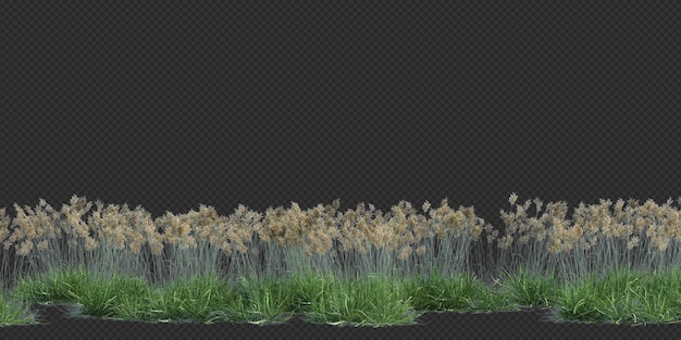 3d-Rendering von Pinselbaum, isoliert auf Weiß