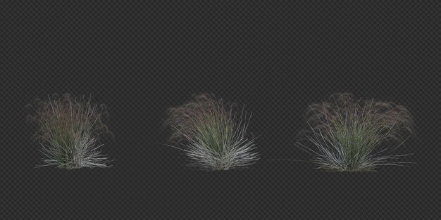 3d-Rendering von Pinselbaum, isoliert auf Weiß