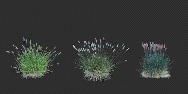 3d-Rendering von Pinselbaum, isoliert auf Weiß