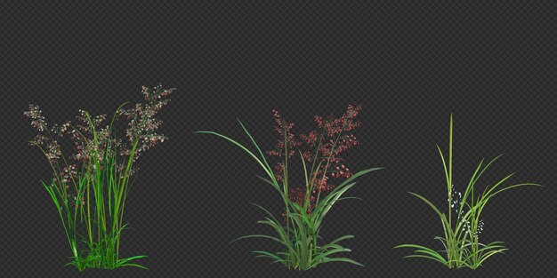 3d-Rendering von Pinselbaum, isoliert auf Weiß