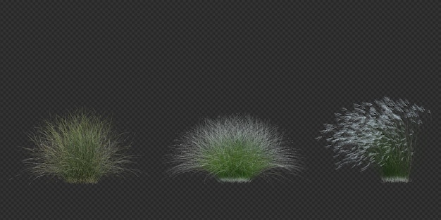 3d-Rendering von Pinselbaum, isoliert auf Weiß