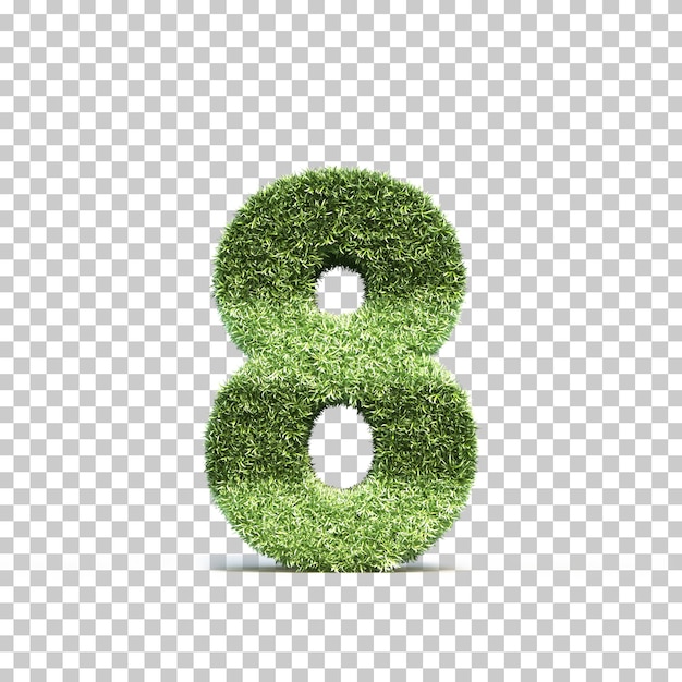 3D-Rendering von Rasenspielfeld Nummer 8