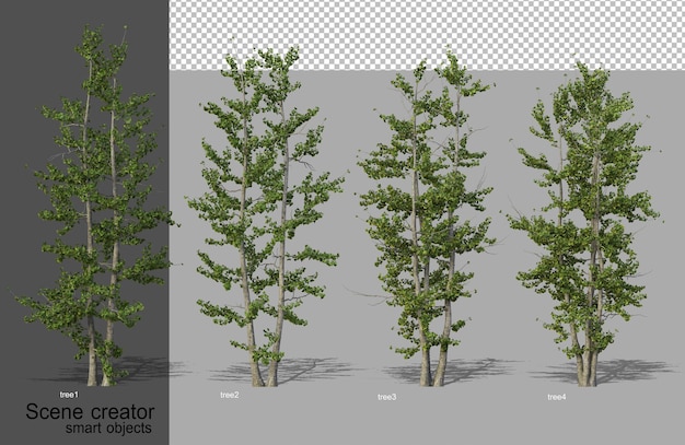 3d-rendering von schönen bäumen in verschiedenen winkeln isoliert