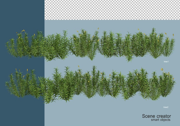 3d-rendering von schönen pflanzen in verschiedenen winkeln isoliert