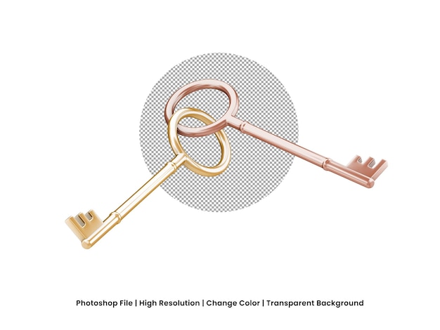 PSD 3d-rendering zwei schlüssel