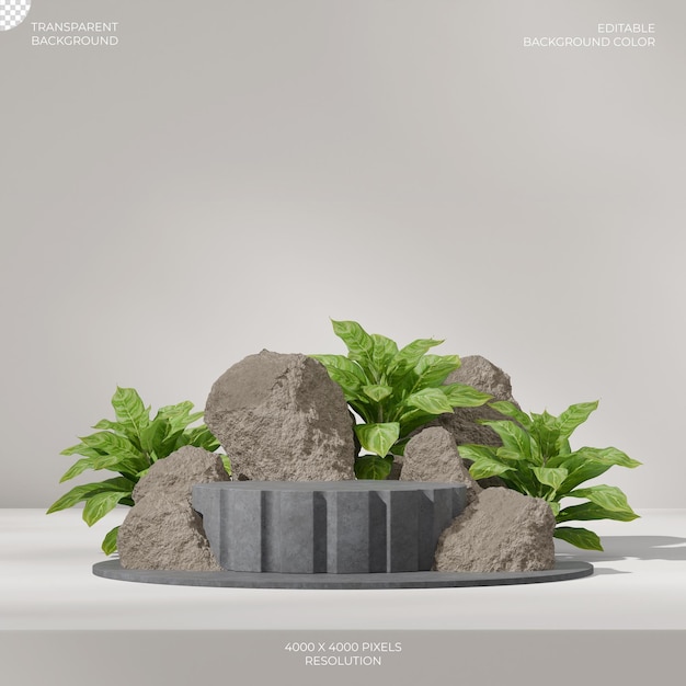 3d renderización de fondo transparente de la textura de hormigón gris podio en cuadrado con chino de hoja perenne