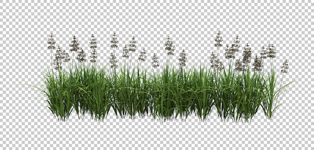 3d rendono di fiori con foglie