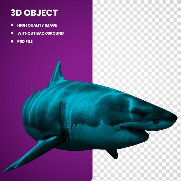3d requins mammifères marins
