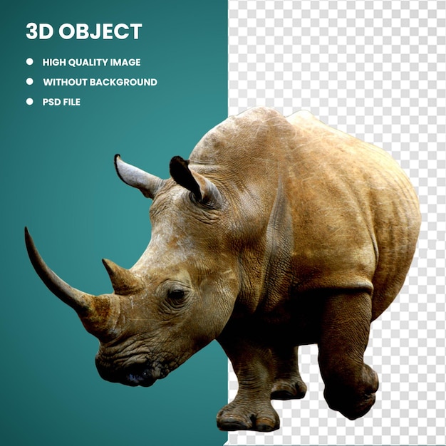 3d rinoceronte bianco