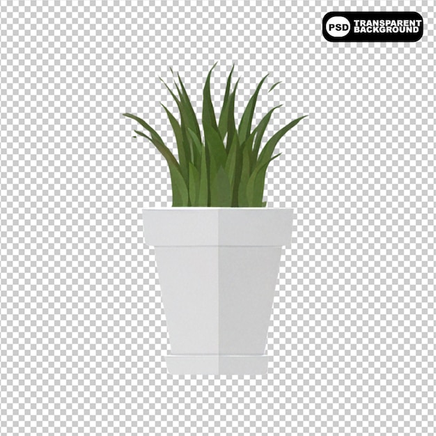 3d-Sukkulente Pflanze mit Topf-Mockup, isoliert auf durchsichtigem Hintergrund