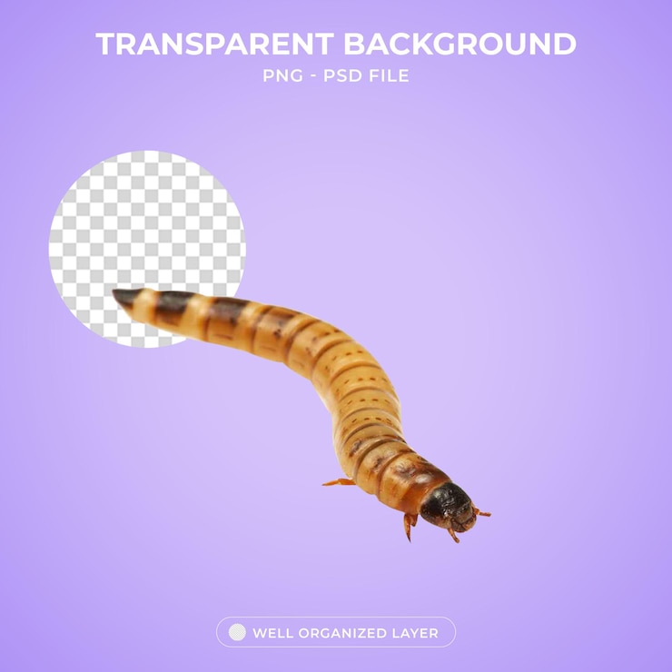 PSD 3d superworm reptile mealworm bait