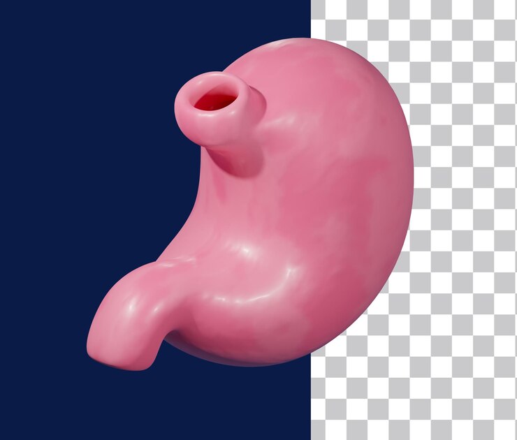 3D-Symbol für den Magen
