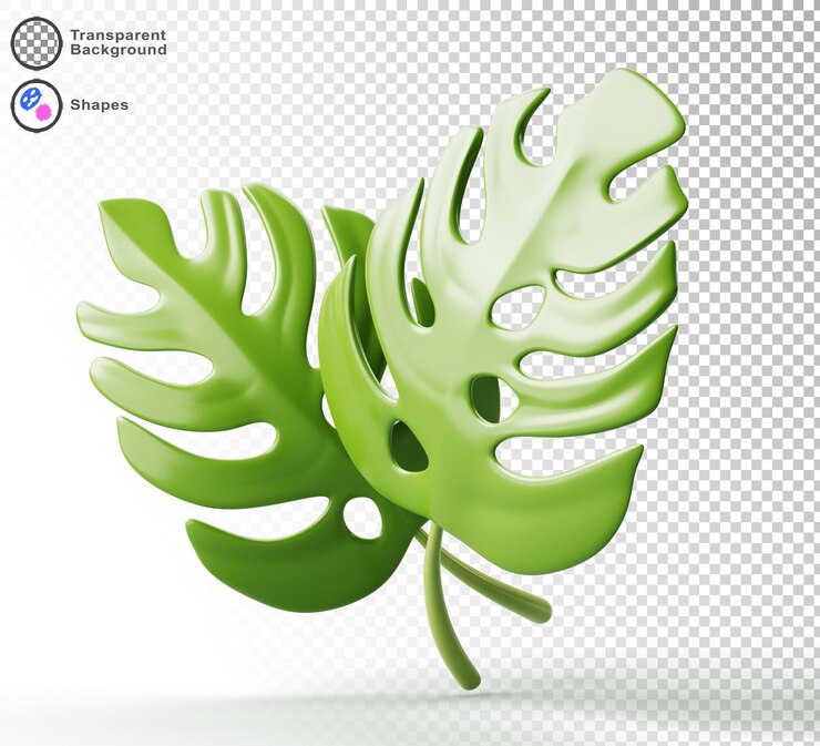 PSD 3d tropicale verde monstera foglie isolate render icona rami di piante della giungla esotica natura decorazione elemento di design per spa prodotto di bellezza spiaggia cerimonia di matrimonio o festa di compleanno