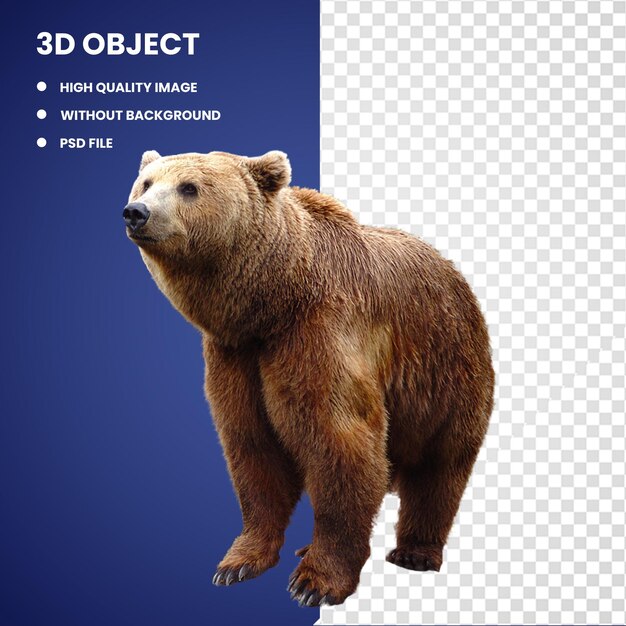 PSD 3d urso castanho