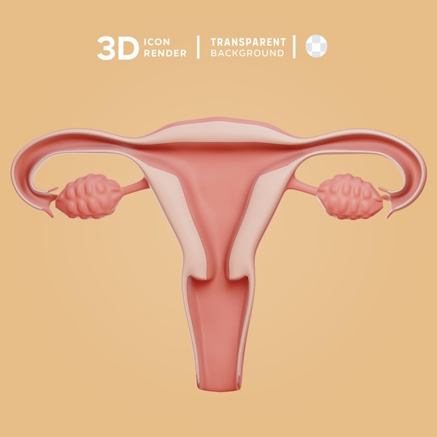 PSD 3d-vagina-illustration, die ein 3d-icon farbig isolierte