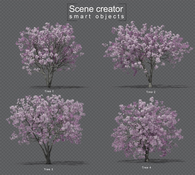 3D-Wiedergabe des Magnoliensatzes des rosa Sterns