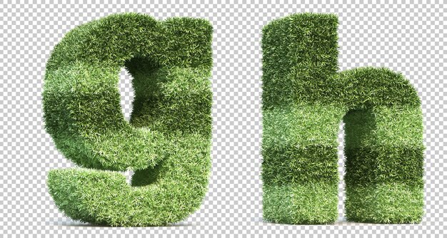 3D-Wiedergabe von Grasspielfeldalphabet g und Alphabet h