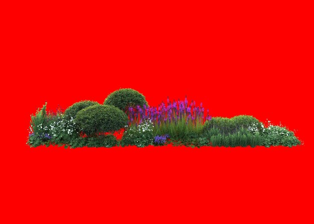 3o repartimiento del jardín floral mediterráneo