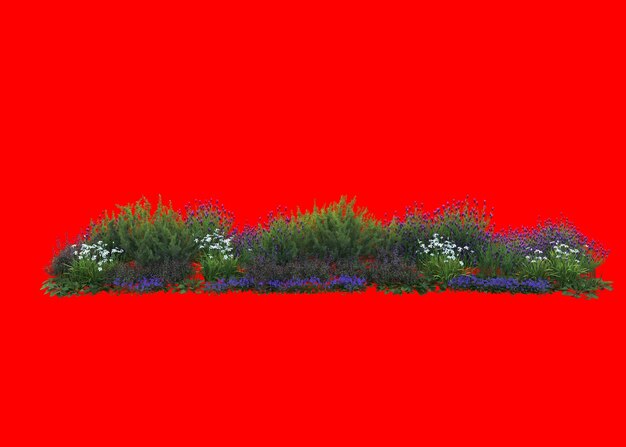 3o repartimiento del jardín floral mediterráneo