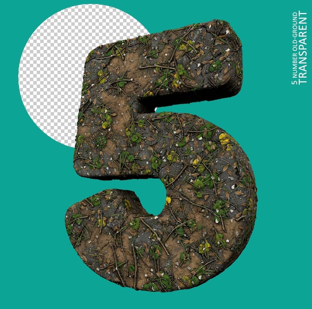 5 numéro Old-Ground transparent , cinq numéro , herbe , numéro cinq