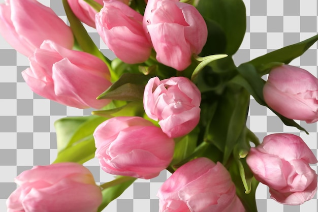 8. März, der Internationale Frauentag, mit einem Blumenstrauß aus rosa Tulpen auf weißem Hintergrund.