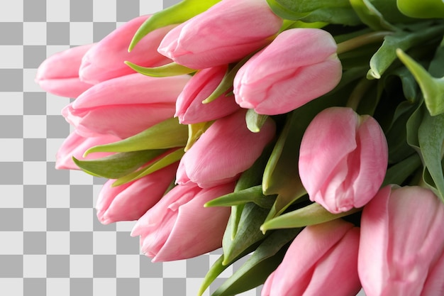 8 marzo, Giornata Internazionale della Donna, bouquet di tulipani rosa in primo piano su sfondo bianco PNG