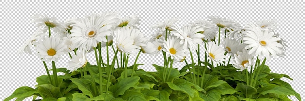 A beleza da flora branca cortou a renderização 3d de fundo