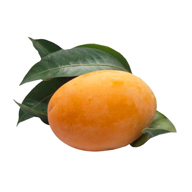 A close-up shot of a fresh ripe mango with green leaves