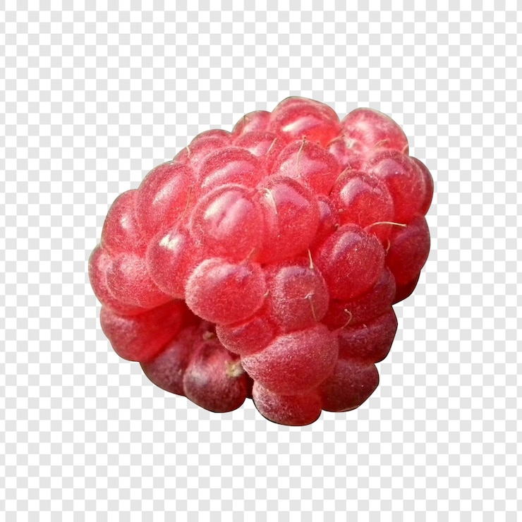 PSD a close-up shot of a ripe and juicy raspberry