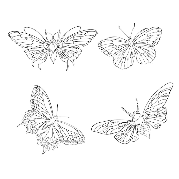 PSD a drawing of butterflies butterfly illustration set