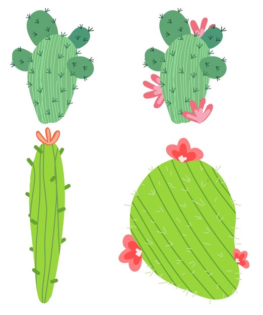 a drawing of cactus with pink flowers