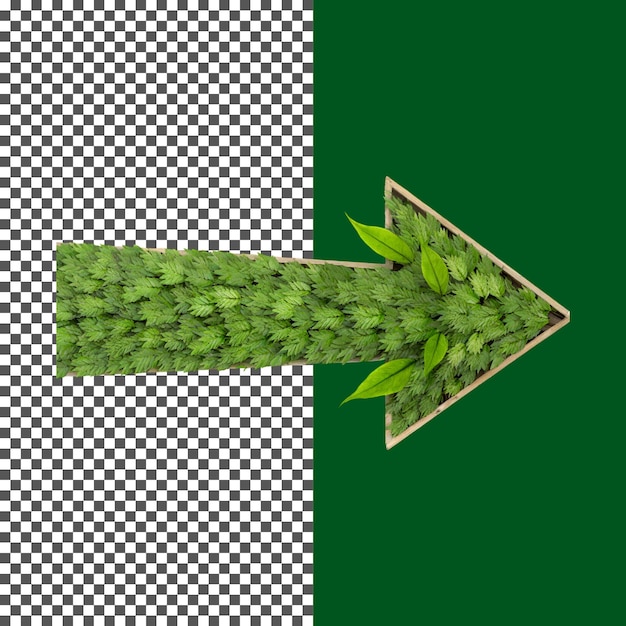 a green plant with an arrow pointing Leafy Green Arrow Pointing Natural Direction Symbol on trans