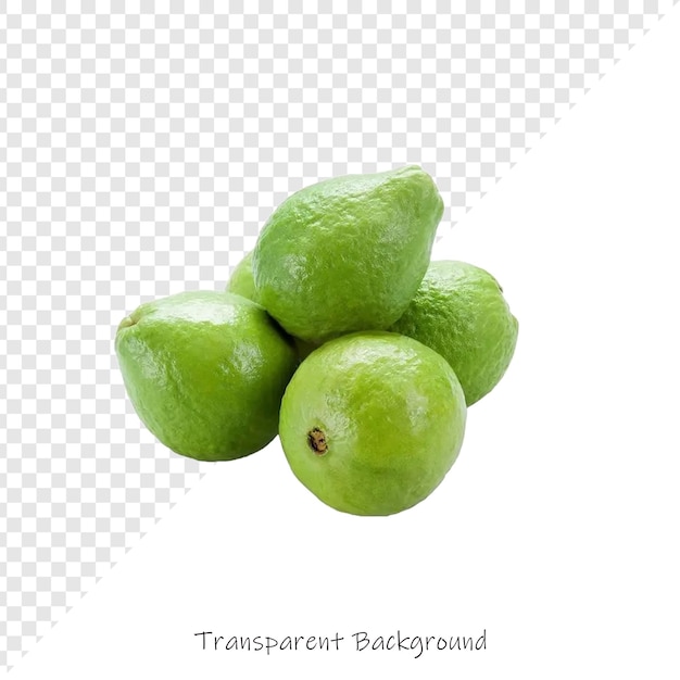 a group of limes with the words quot transparencies quot on the bottom