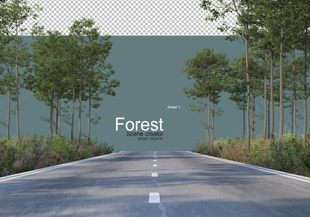 A natureza da floresta com vários tipos de árvores e arbustos