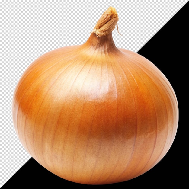 a onion with a black background and a white background