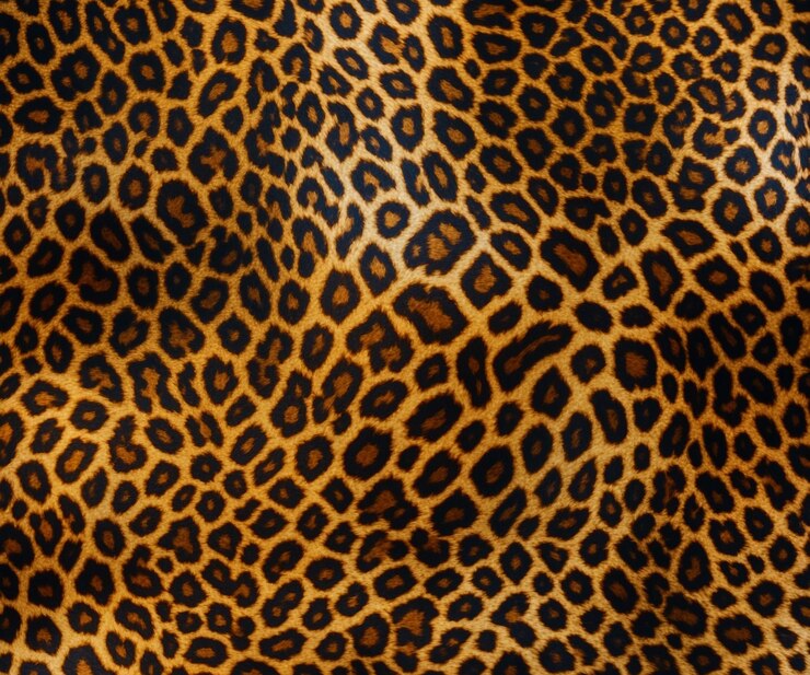 PSD a parte de trás de um casaco de leopardo