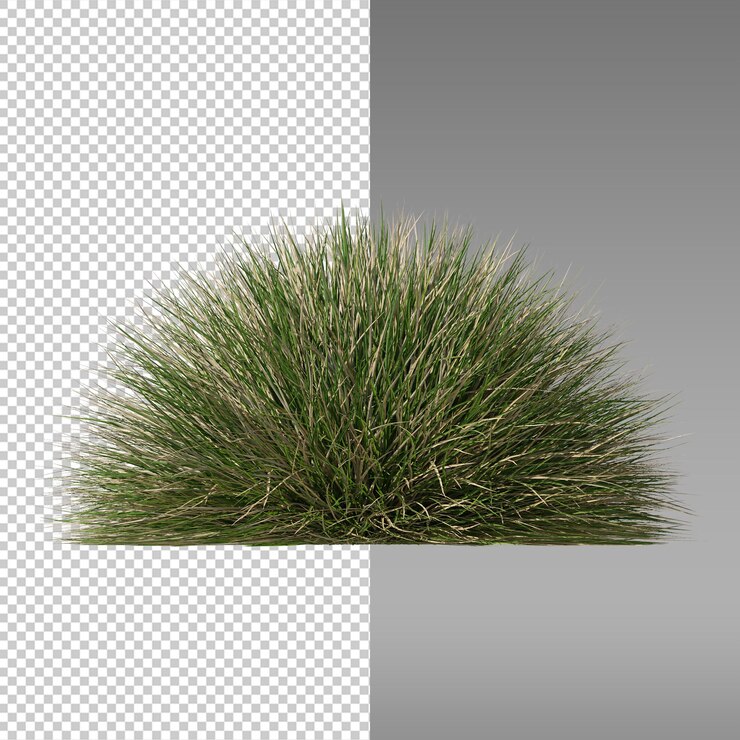 PSD a picture of a hedge with a white background and the image is a small animal