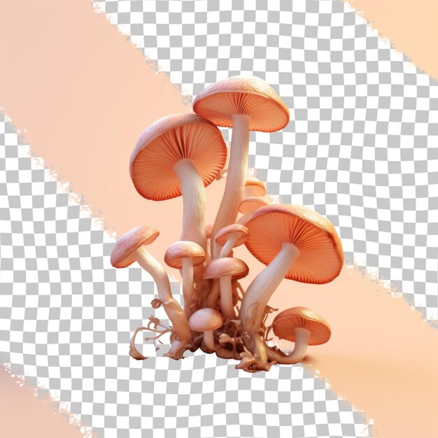 PSD a picture of a mushroom with a pink background with a white background