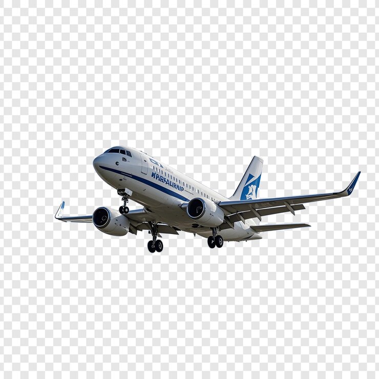 a plane with the letters ana on the tail