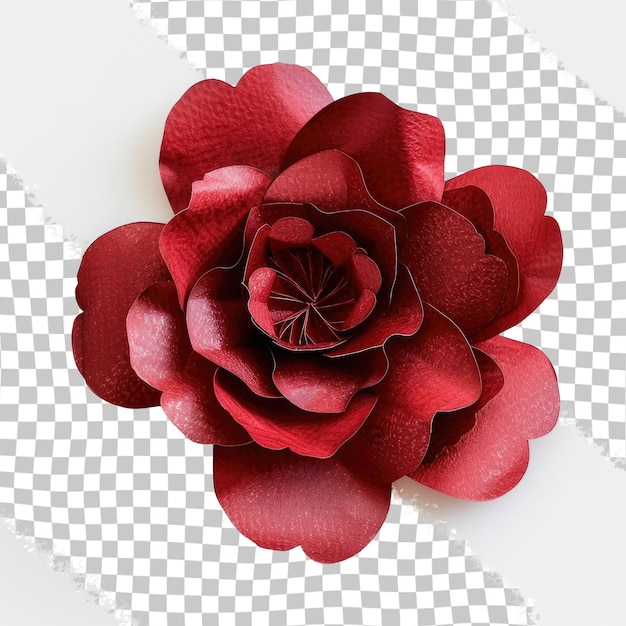 PSD a red flower with a white background with a red flower on it