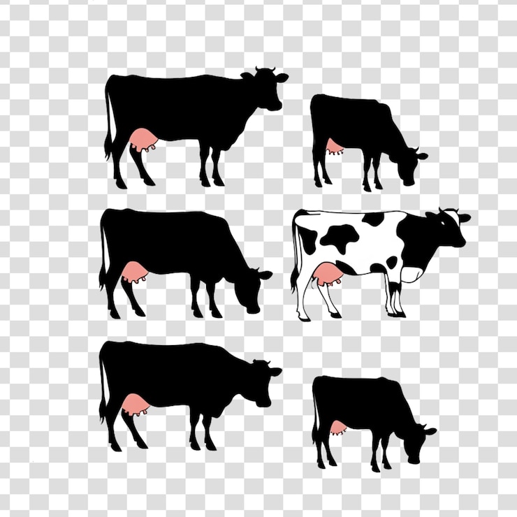 PSD a set of cows and a cow on a checkered background
