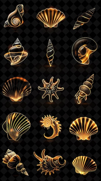 a set of different shells and shells with a gold background
