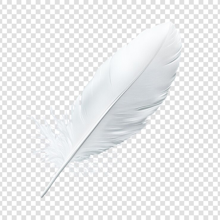 A single pristine white feather laying diagonally against a transparent background