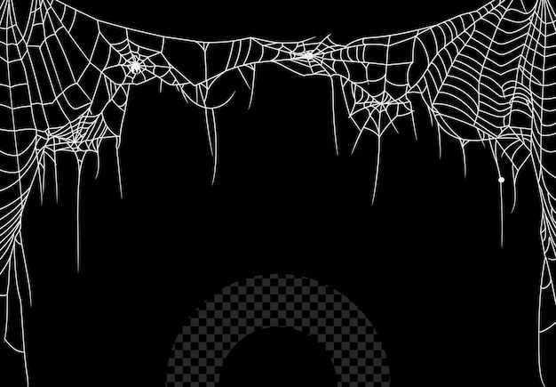 a spider web with the spider web on it
