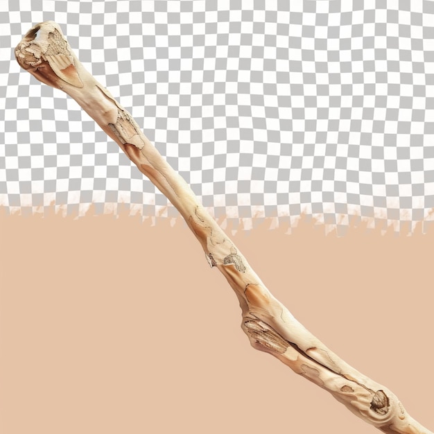 PSD a stick with a wooden handle that says  the word  on it