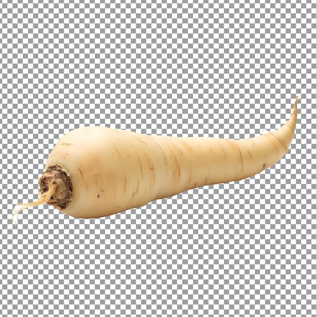 a yellow carrot is shown with a white object on it
