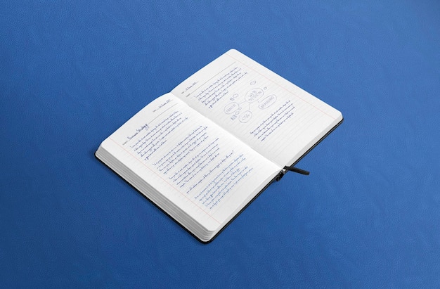 Abre el cuaderno en fondo azul